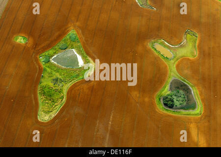 Luftaufnahme, abgeernteten Feld mit Teichen und Wiese Inseln Stockfoto