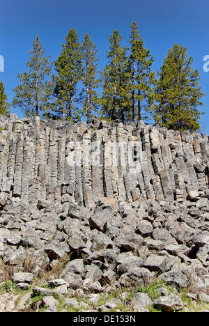 Basaltsäulen auf dem Sheepeater Cliff, Yellowstone-Nationalpark, Wyoming, USA Stockfoto