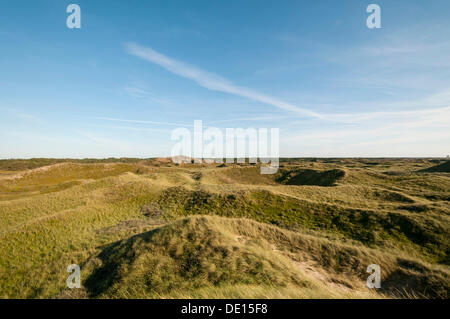 Stimmung am frühen Morgen in die Dünen Landschaft, Henne Strand, West-Jütland, Dänemark, Europa Stockfoto