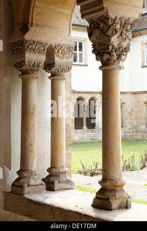 Kreuzgang, Kloster St. Maria und St. Theodor am Kaulberg, Karmeliterkloster, Bamberg, Bayern Stockfoto