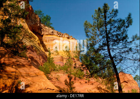 Ocker Felsen, Konservatorium von Ocker und angewandte Pigmente in Roussillon, Ocker-Trail, Ocker-Steinbruch, Luberon, Provence, Vaucluse Stockfoto