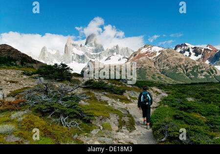 Nationalpark Los Glaciares, UNESCO-Weltkulturerbe mit Monte Fitz Roy, El Chalten, Cordillera, Provinz Santa Cruz Stockfoto