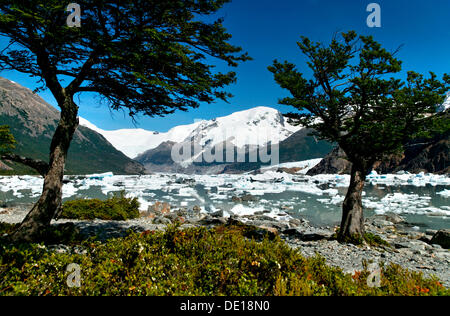 Lago Onelli, Nationalpark Los Glaciares, UNESCO World Heritage Site, Cordillera, Santa Cruz Provinz, Patagonien, Argentinien Stockfoto