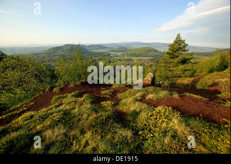 Monts Dore wie aus Puy De La Vache, Sancy massiv an der Rückseite, Auvergne Vulkane Naturpark, Puy de Dome, Auvergne Stockfoto