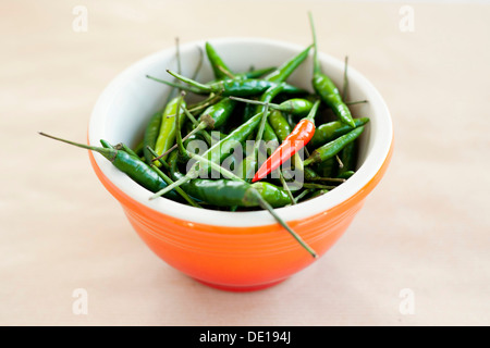 Schale des Vogels Auge Chili Paprika, grüne und rote Chilis, orange Schale. Neutralem Hintergrund. Stockfoto