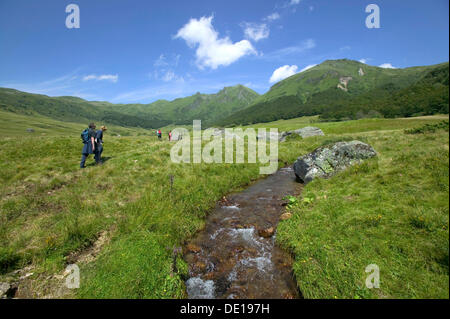 Fontaine Salee Tal, Monts Dore, Parc Naturel Regional des Vulkane d ' Auvergne, Auvergne Vulkane Naturpark Stockfoto