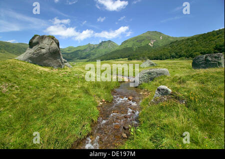 Fontaine Salee Tal, Monts Dore, Parc Naturel Regional des Vulkane d ' Auvergne, Auvergne Vulkane Naturpark Stockfoto