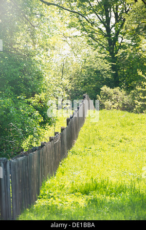 Grasgrün und Holzzaun. Djurgarden Park in Stockholm, Schweden Stockfoto