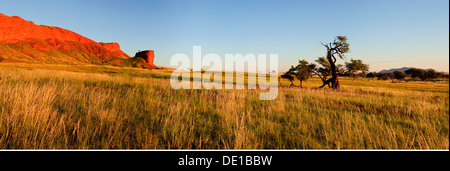 Geographie/Reisen, Namibia, Namib Desert Lodge, versteinerte Dünen, Kamel Thorn, Additional-Rights - Clearance-Info - Not-Available Stockfoto