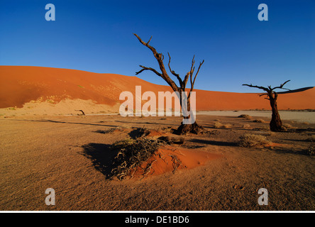 Geographie/Reisen, Namibia, Namib Naukluft National Park, der Ton Pan im Hidden Vlei, Additional-Rights - Clearance-Info - Not-Available Stockfoto