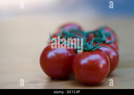 Nahaufnahme mit flachen Dof von ein paar Reife rote Traube Tomaten an den Rebstöcken mit Exemplar Stockfoto