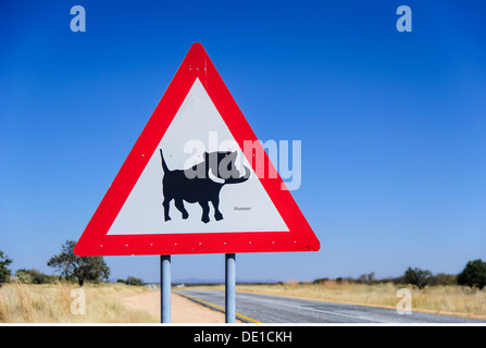 Verkehr/Transport, Beschilderung, Schild "Achtung! Warzenschweine Kreuzung', auf der Straße, Caprivi, Namibia, Additional-Rights - Clearance-Info - Not-Available Stockfoto