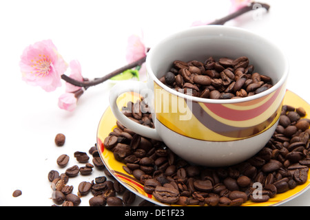 Frische Kaffeebohnen Stockfoto