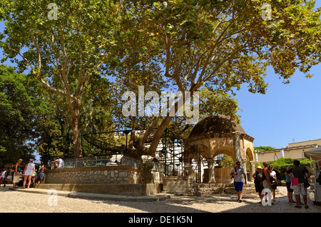 Platane des Hippokrates und Moschee Font in Kos-Stadt, Insel Kos, Dodekanes Inselgruppe, Griechenland. Stockfoto