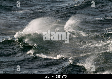 Wellen mit Spray auf hoher See, Ostsee, Deutschland Stockfoto
