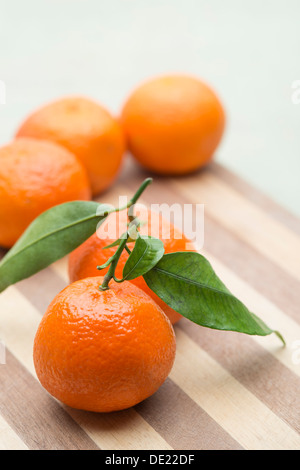 Ein schönes Stillleben Anordnung von Sevilla Orangen mit grünen Blättern auf ein Schneidbrett aus Holz Stockfoto