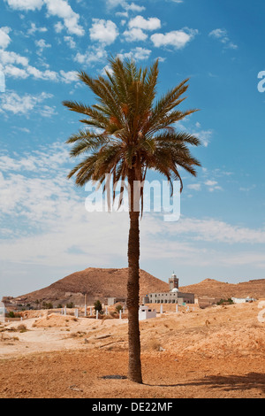Palme in der Sahara, Afrika Stockfoto