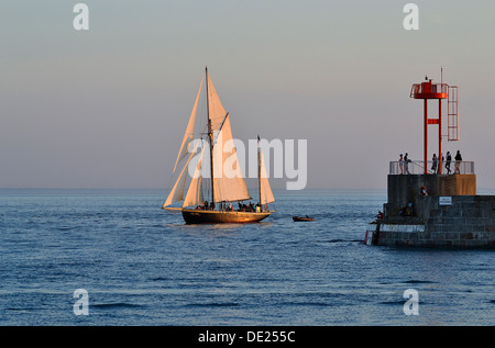 Lys Noir (französische klassische Yacht. Rig: Yawl aurischen, 1914, Heimathafen: Granville) betritt Granvilles Hafen (Normandie, Frankreich). Stockfoto