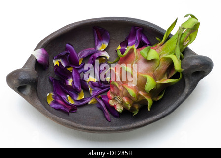 Red Pitaya (Hylocereus Art) und Blütenblätter einer Tulpe in einem archaischen Ton-bowl Stockfoto