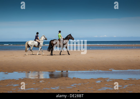 Pferde am Strand von Holkham Bucht, in der Nähe von Holkham, Norfolk Stockfoto