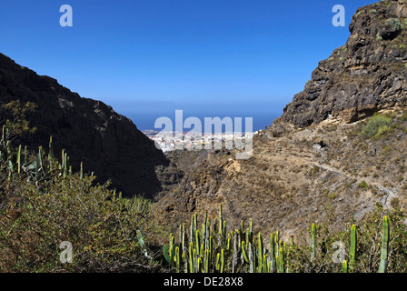 Barranco del Infierno Canyon und das Meer Stadt Adeje, Teneriffa, Kanarische Inseln, Spanien, Europa Stockfoto