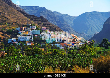 Dorf von La Calera und einer Bananenplantage, Fei Bananen (Musa Troglodytarum), Valle de Gran Rey Tal, La Gomera Stockfoto