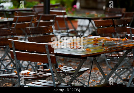 Herbst im Paulaner Biergarten am Nockherberg in München, Bayern Stockfoto