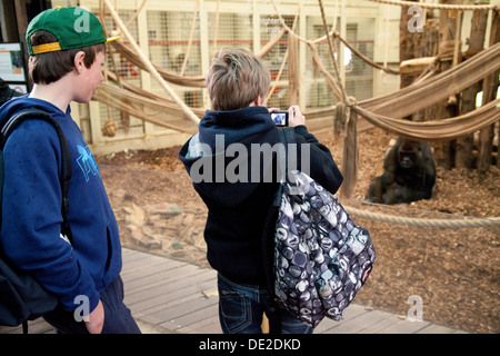 Der Londoner Zoo, zwei Kinder, die auf der Suche bei einem Gorilla, London Zoo, Regents Park, England UK Stockfoto