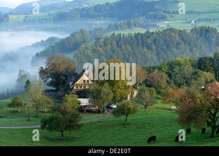 Eine Farm im Herbst, Schwand, Zug, Schweiz, Europa Stockfoto