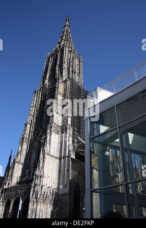 Ulmer Münster Kathedrale und des Rathauses das Stadthaus, alte und neue Architektur, Ulm an der Donau, Baden-Württemberg Stockfoto