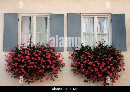 Windows mit Blumenkästen Stockfoto