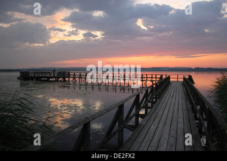 Morgendämmerung am Federsee See, Federsee Pier, Naturschutzgebiet in der Nähe von Bad Buchau, Landkreis Biberach, Oberschwaben, Baden-Württemberg Stockfoto