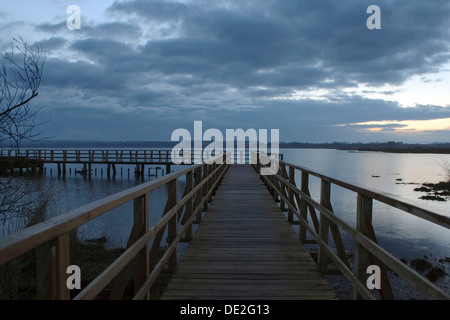 Federsee-See, Naturschutz sind in Oberschwaben, vor Sonnenaufgang, Landkreis Biberach, Oberschwaben Stockfoto