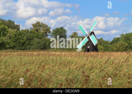 Blick über Wicken Fen zeigt die Wind-Pumpe, Cambridgeshire Stockfoto