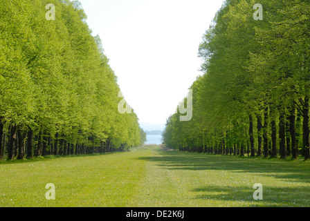 Frischgrün, Park mit Wald Gang und Rasen auf Herrenchiemsee im Frühjahr, romantische Insel, See Chiemsee, Chiemgau Stockfoto