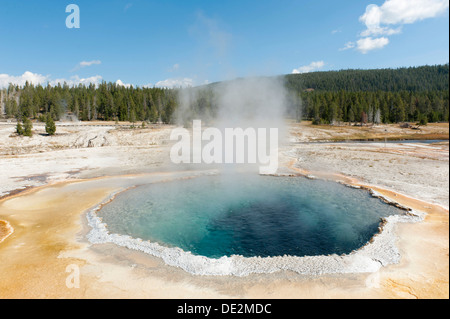 Thermalquelle, kochendes Wasser, Dampf, Crested Pool, Burg-Grand Bereich, Upper Geyser Basin, Yellowstone-Nationalpark, Wyoming Stockfoto