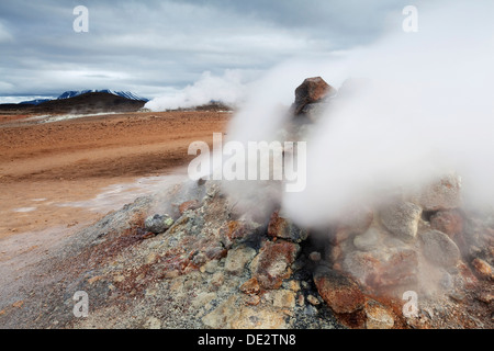 Hverir solfatara, reykjahilid, myvatn, North Island, Island, Europa Stockfoto