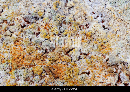 Gunnuvher geothermale Region, die Halbinsel Reykjanes, South Island, Island, Europa Stockfoto