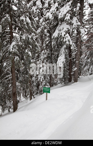 Verschneiten Wald mit einem Schild, Schriftzug 'Radfahren verboten', deutsch für "kein Radfahren', hoher kranzberg Berg, Mittenwald, Bayern Stockfoto