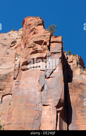 Dieses Bild zeigt den steilen Wänden und prekär gehockt Bäume im Zion Canyon. Stockfoto