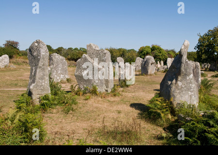 Megalithen von Carnac, Bretagne, Frankreich Stockfoto