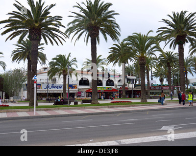 Palm von Bäumen gesäumten Straße mit Geschäften im Hintergrund Stockfoto