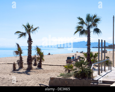 Palmen am Strand mit dem Meer und die Berge im Hintergrund Stockfoto