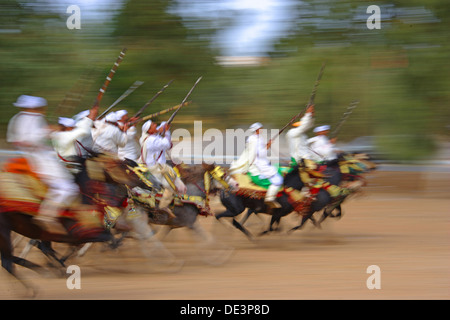 Fantasia in Marokko. Arba-Barb Pferde im Galopp mit Fahrern, die Gewehre abfeuern Stockfoto