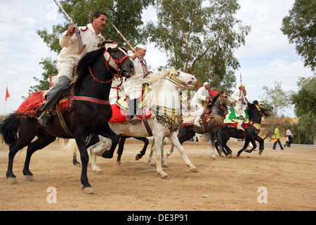 Fantasia in Marokko. Arba-Barb Pferde im Galopp mit Fahrern, die Gewehre abfeuern Stockfoto