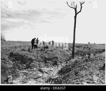 Newberry County, South Carolina. CCC Enrollees Anpflanzung von Kudzu auf Wasserrinne bank auf C. C. Spoon Bauernhof.... 522770 Stockfoto