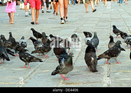 Menschen die Beine im Sommer und viele Tauben und Tauben in der italienischen piazza Stockfoto