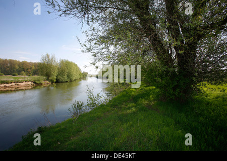 Hamm, Deutschland, Landschaft entlang der Lippeauenpfads Stockfoto