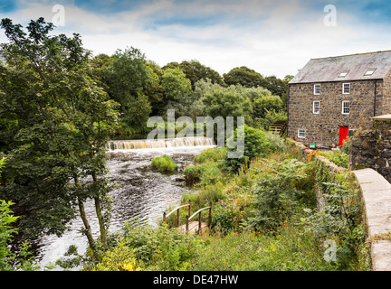 Lachs Station River Bush Shelby County Antrim, Nordirland Stockfoto