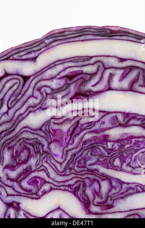 Ein Makro Nahaufnahme einen nahrhaft, gesund, lecker und appetitlich Rotkohl in Hälfte in Scheiben geschnitten Stockfoto